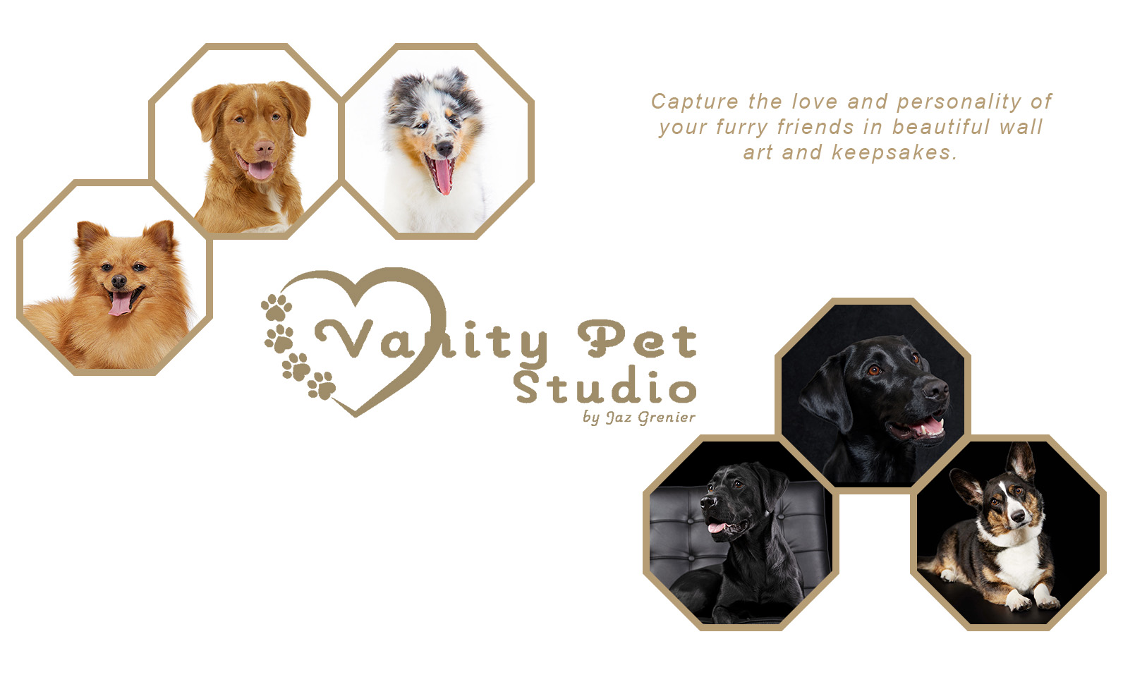 Vanity Pet Studio Expanded Logo